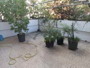 T100-GRAN MADRE CON TERRAZZO E BOX